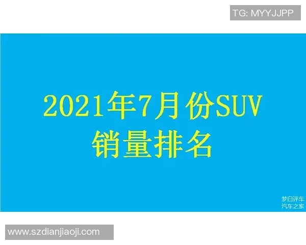 武汉篮球队崛起最新个人能力排名揭晓前十名球员一览