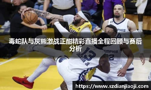 毒蛇队与灰熊激战正酣精彩直播全程回顾与赛后分析