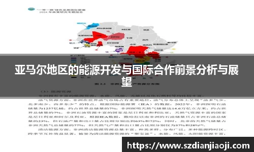 亚马尔地区的能源开发与国际合作前景分析与展望
